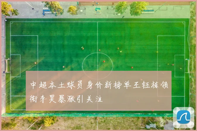 中超本土球员身价新榜单王钰栋领衔李昊暴涨引关注